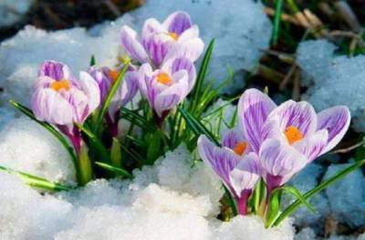 8 апреля в Украине немного потеплеет, но местами будет падать мокрый снег