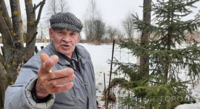 Пенсионер засадил больше 1000 деревьев, чтобы спасти деревню от природного явления