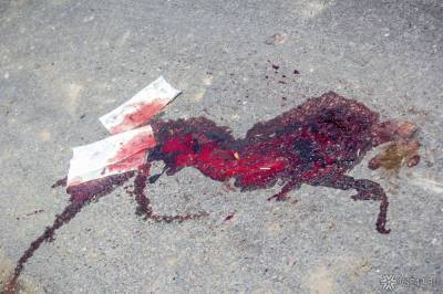 Водитель сбил пешехода на дороге в центре Кемерова