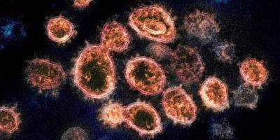 Исследование: коронавирус способен вызывать слабоумие, депрессию и психозы
