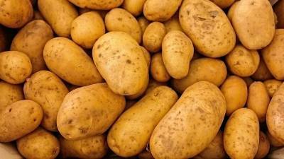 В Башкирии за неделю вырос в цене картофель