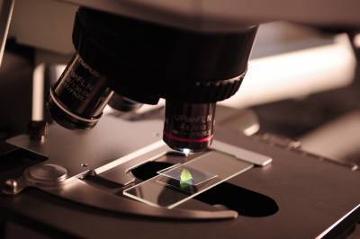 Геномный центр открыли на базе Института сельскохозяйственной биотехнологии в столице