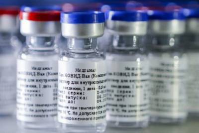 В Петербург доставили вакцины «ЭпиВакКорона» и «ГамковидВак»