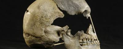 Ученые расшифровали геномы древнейших в Европе Homo sapiens