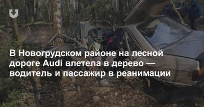 В Новогрудском районе на лесной дороге Audi влетела в дерево — водитель и пассажир в реанимации