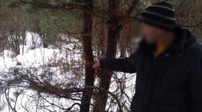 Завершено расследование незаконной добычи лося в Березинском заповеднике