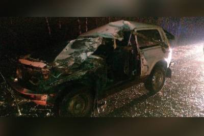 В ДТП с грузовиком под Рязанью пострадал 45-летний мужчина
