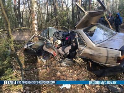 ДТП в Новогрудском районе: пострадали водитель и пассажир