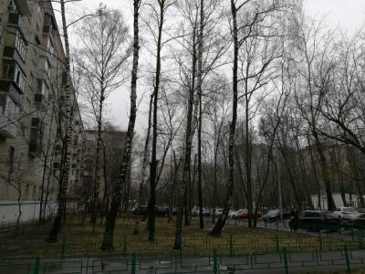 В центре Москвы мужчина с балкона обстрелял надоедавшую ему шумную компанию