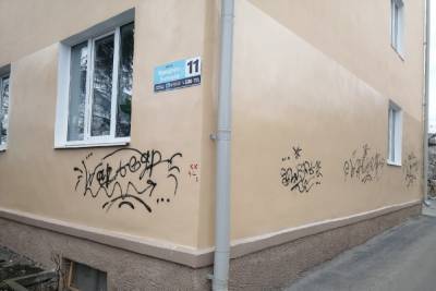 Уличные художества: в Петрозаводске разрисовали фасад дома, покрашенного в 2020