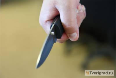 В Тверской области мужчина ударил ножом двух полицейских