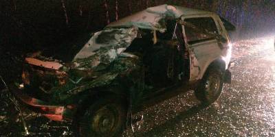Один человек пострадал в аварии «Нивы» и грузовика «МАН» в Рыбновском районе