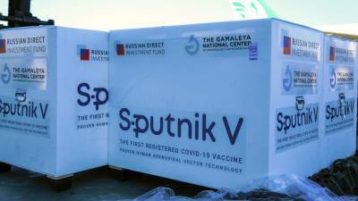Reuters: Германия вступит в переговоры с Россией о закупке вакцины «Спутник V»