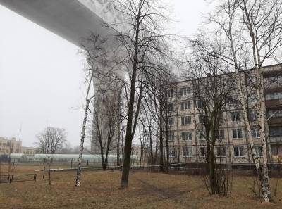 Бесправные соседи: жилые дома в Петербурге стали наполовину апарт-отелями