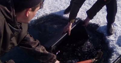 Вязкую черную лужу заметили на Байкале