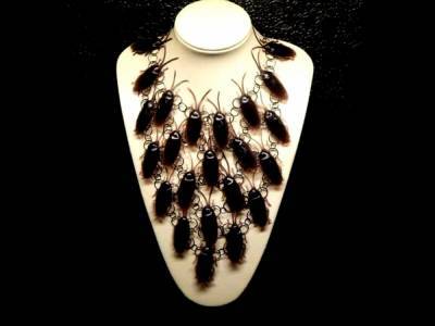 Ступеньки-невидимки, ожерелье из жуков и еще 13 феерических дизайнерских проколов