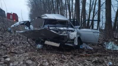 Два человека погибли в ДТП в Лискинском районе Воронежской области