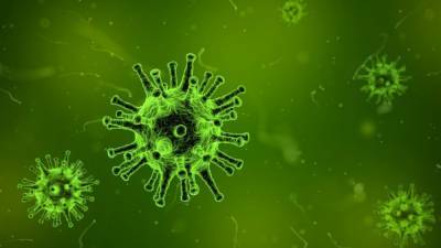Японские исследователи изучили степень заразности британского штамма коронавируса