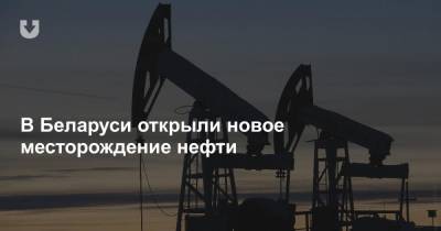 В Беларуси открыли новое месторождение нефти