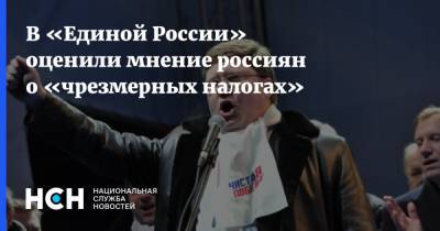 В «Единой России» оценили мнение россиян о «чрезмерных налогах»