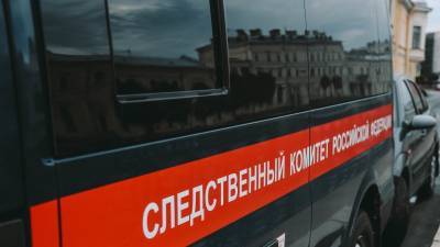 Российский СК возбудил дело по факту ранения мирного жителя Донбасса
