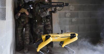 Французские военные на учениях протестировали робота от Boston Dynamics (фото, видео)