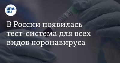 В России появилась тест-система для всех видов коронавируса