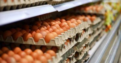 Как в Калининградской области за неделю изменились цены на яйца
