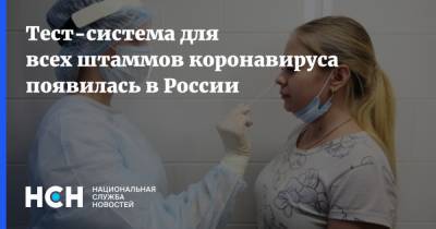 Тест-система для всех штаммов коронавируса появилась в России