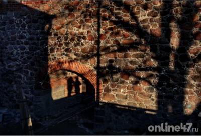 В Выборгском замке нашли сводчатое помещение XVI-XVII веков