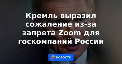 Кремль выразил сожаление из-за запрета Zoom для госкомпаний России