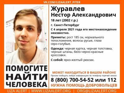 В Петербурге ищут пропавшего школьника