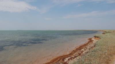 Россия плотно взялась за поиск чистой воды на дне Азовского моря
