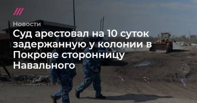 Суд арестовал на 10 суток задержанную у колонии в Покрове сторонницу Навального