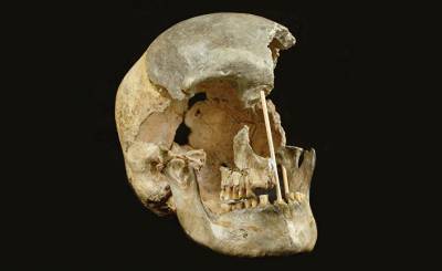 Nature (Великобритания): старейшая ДНК представителей вида «хомо сапиенс» говорит о его близкой связи с неандертальцами