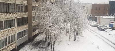 Снег, дождь и ветер ожидаются в пятницу в Карелии