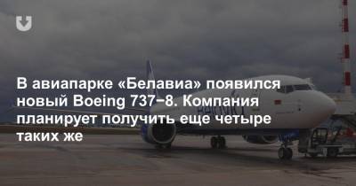 В авиапарке «Белавиа» появился новый Boeing 737−8. Компания планирует получить еще четыре таких же