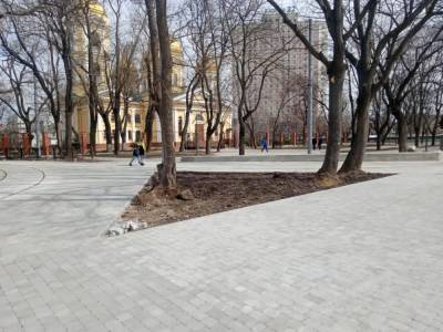 В Одессе подходит к финишу ремонт Алексеевского сквера на Молдаванке