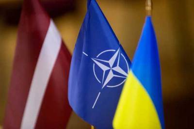 Пять стран НАТО обсудили ситуацию в Украине и действия РФ