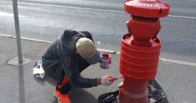 "Модесту Советскому нужна операция": в Калининграде пара возобновила покраску пожарных гидрантов (фото)