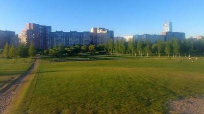 Часть парков Петербурга открылась для посещения после весенней просушки