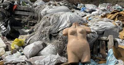 Со свалки под Киевом, где бегают свиньи и лежат трупы животных, начали убирать мусор: фото (6 фото)
