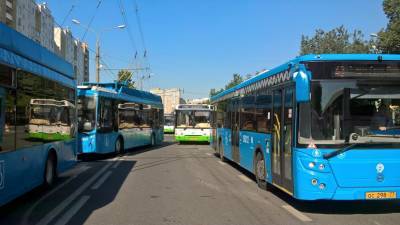 В Подмосковье назвали число поездок школьников и студентов на автобусах в 2021 году