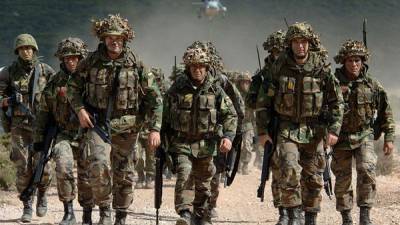 Военные не знают английского, – нардеп о препятствиях в подготовке к вступлению в НАТО