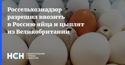 Россельхознадзор разрешил ввозить в Россию яйца и цыплят из Великобритании