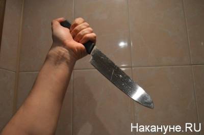 Жителя Красноярска подозревают в нападении с ножом на 9-летнего ребенка