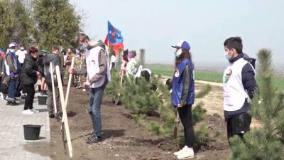 Вести. На Кубани в честь павших в ВОВ посадят сад памяти