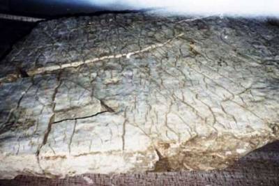 Во Франции найдена самая старая трехмерная карта Европы, которой 4000 лет