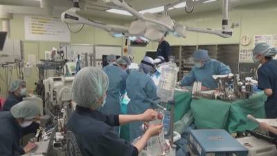 Вести в 20:00. В Японии впервые в мире пересадили легкие от живых доноров
