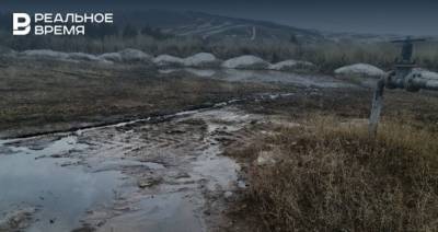 В Бугульминском районе РТ обнаружили разлив нефтепродуктов в 100 метрах от реки Кудаш